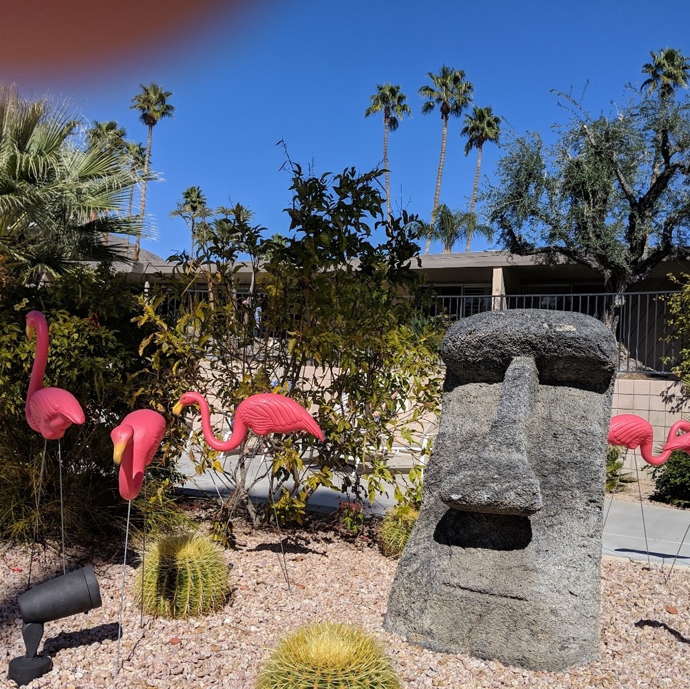 Meet your Posher, Candice